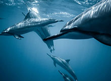 开云之路：从云端看见生活的新可能